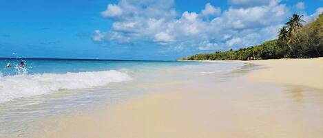 Sun-loungers, beach towels