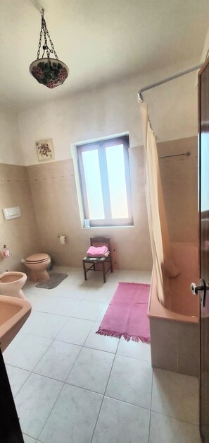 Bidet, towels, soap, toilet paper