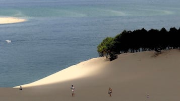 Ligstoelen aan het strand