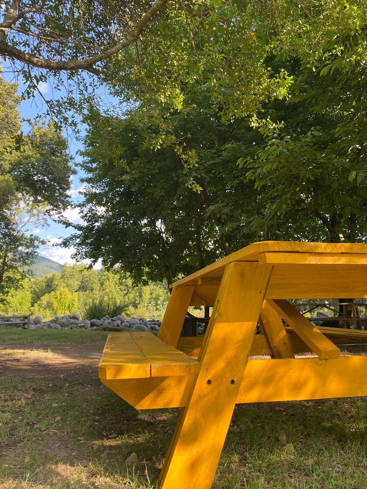 A yellow picnic table in a natural setting with trees and a clear sky.
