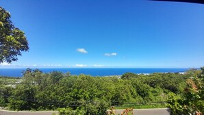 A coastal road with dense greenery and a clear view of the ocean. - Cannelle, Sea View, shared pool Mont Vert Les Bas (Montvert)