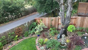 A garden with a variety of plants and a small fountain.