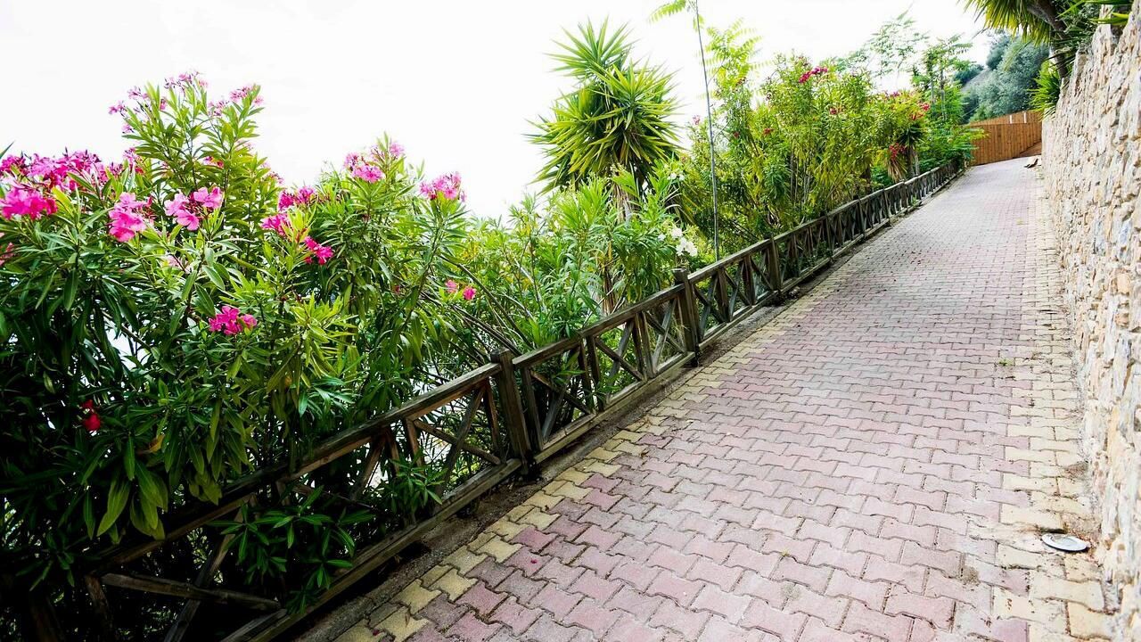 A paved pathway flanked by lush greenery and pink flowers, leading to a stone wall.