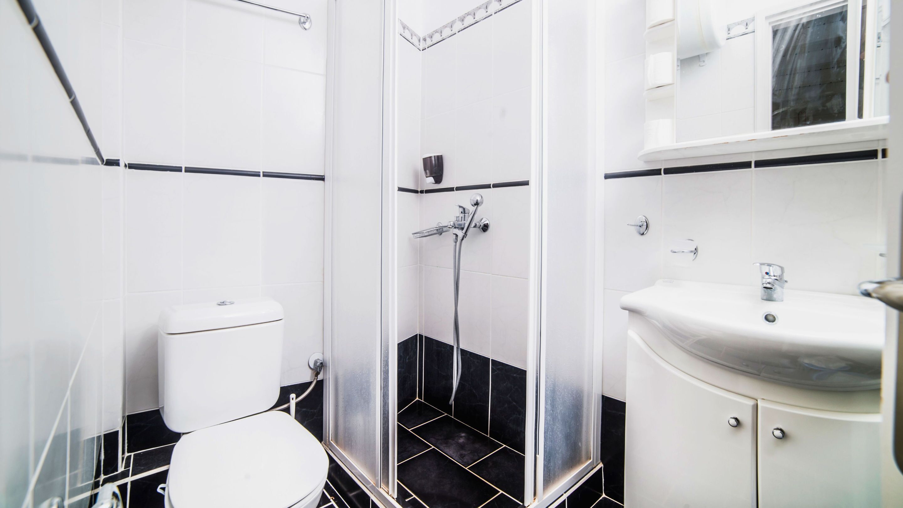 A bathroom with a toilet, a shower with a handheld showerhead, and a sink with a mirror above it.