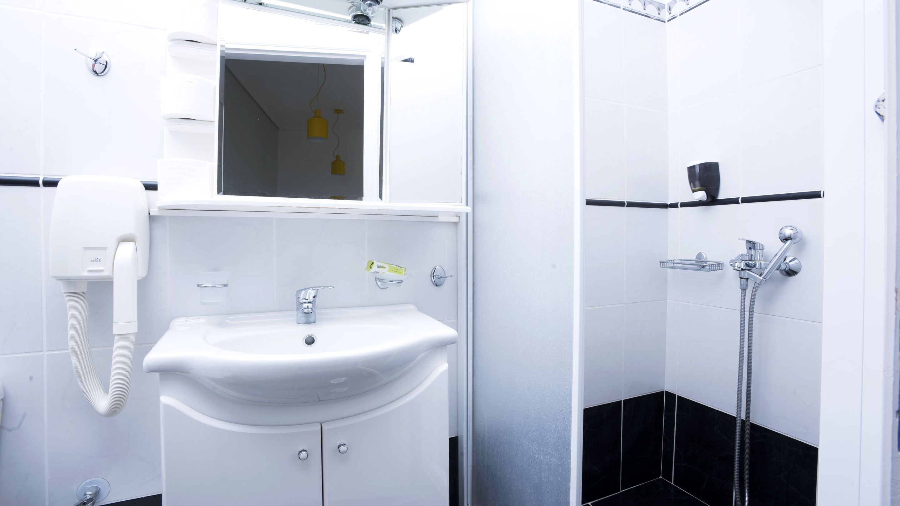 A bathroom with a white sink, a mirror, a handheld showerhead, and a toilet.