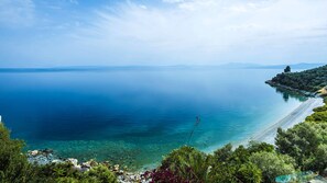 Vista desde la propiedad