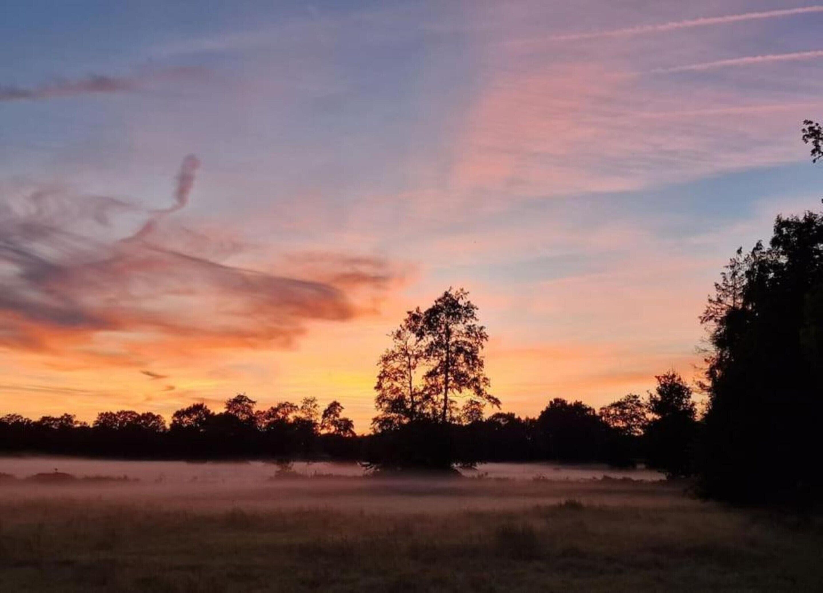 A sunset over a field with trees silhouetted against the sky.