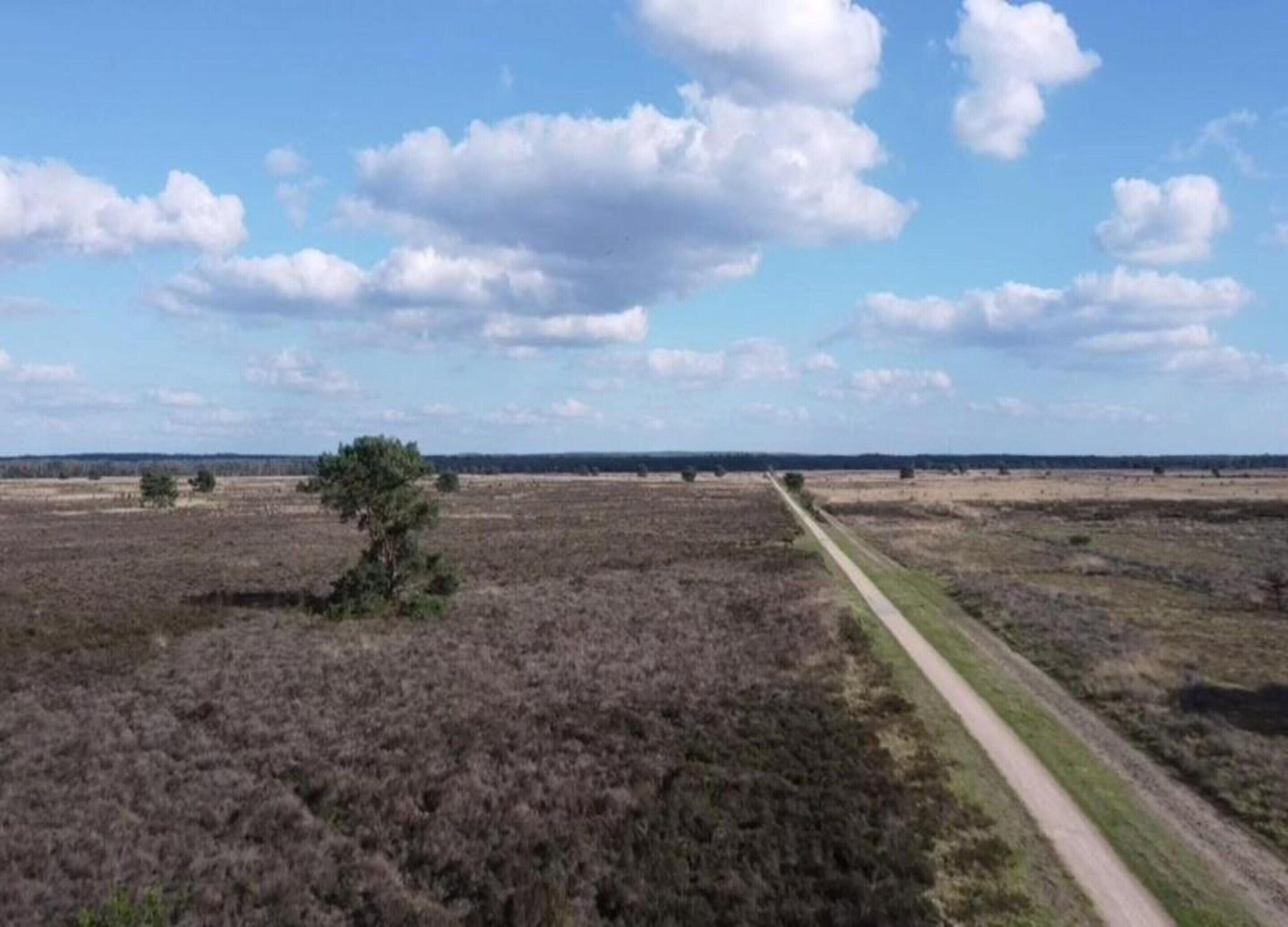 A wide, open landscape with a dirt path leading through a field of low vegetation.