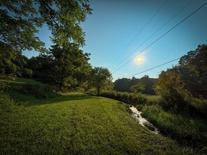 Un paysage verdoyant avec un ruisseau, des arbres et un ciel dégagé.