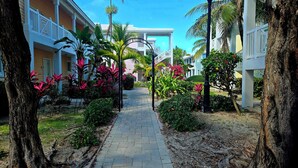 A pathway flanked by lush greenery and palm trees, leading to a building with a white facade and balconies. - "Serenity" at the Infiniti Pool - Oceanview 2/2 at Resorts World Bimini Bay (Bimini)