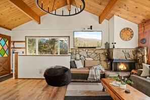 TV, fireplace, video games