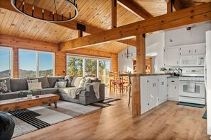 TV, fireplace, video games