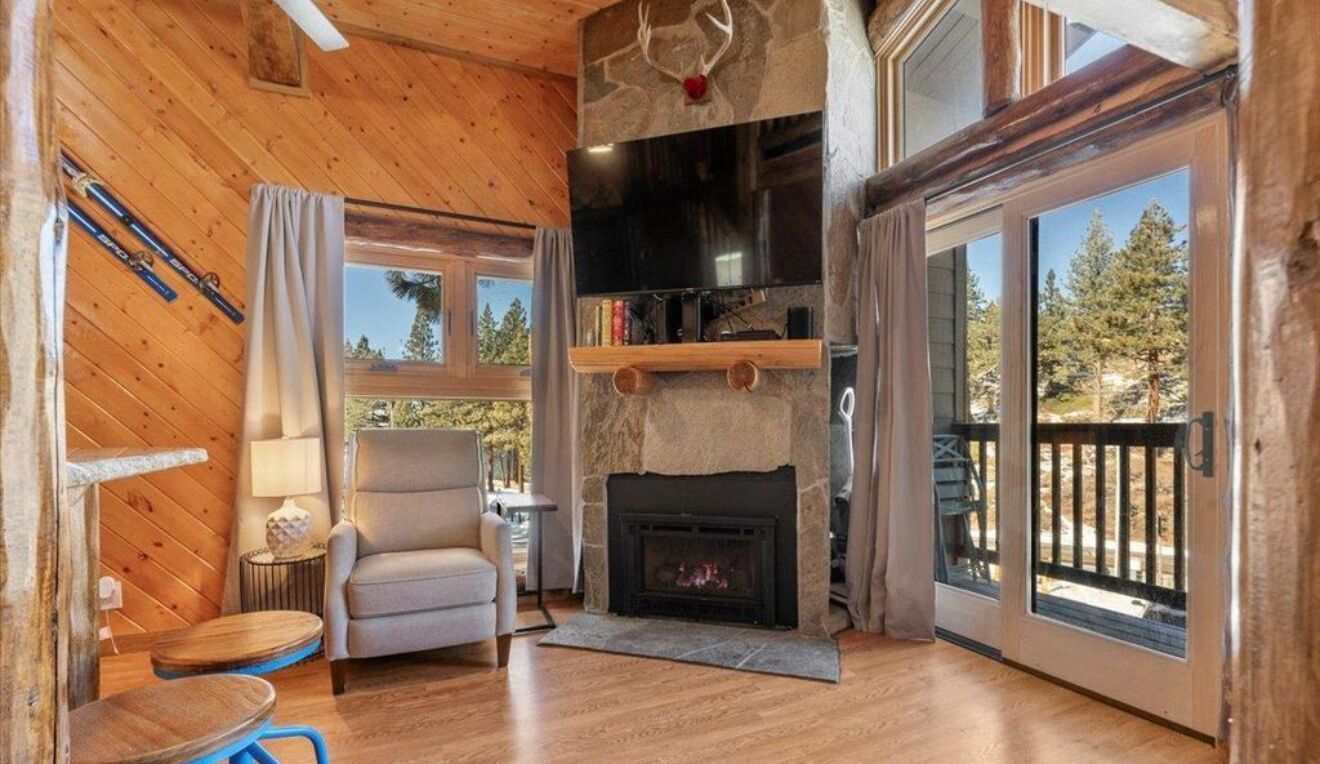 Tv, pejs, musikbibliotek