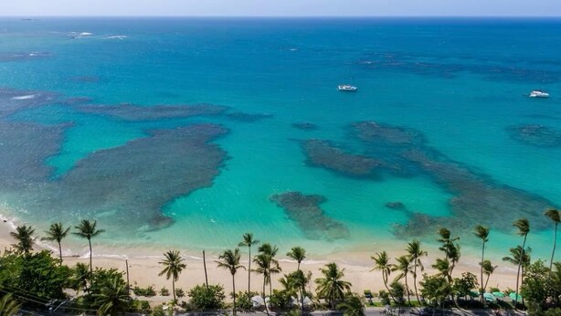 A beach with clear turquoise waters and palm trees.