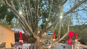 Eine Außenpatio-Terrasse mit Tischen und Stühlen, einem Holzbottich und einem Baum.