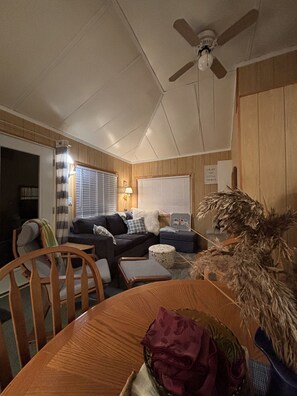 TV, fireplace, DVD player, books