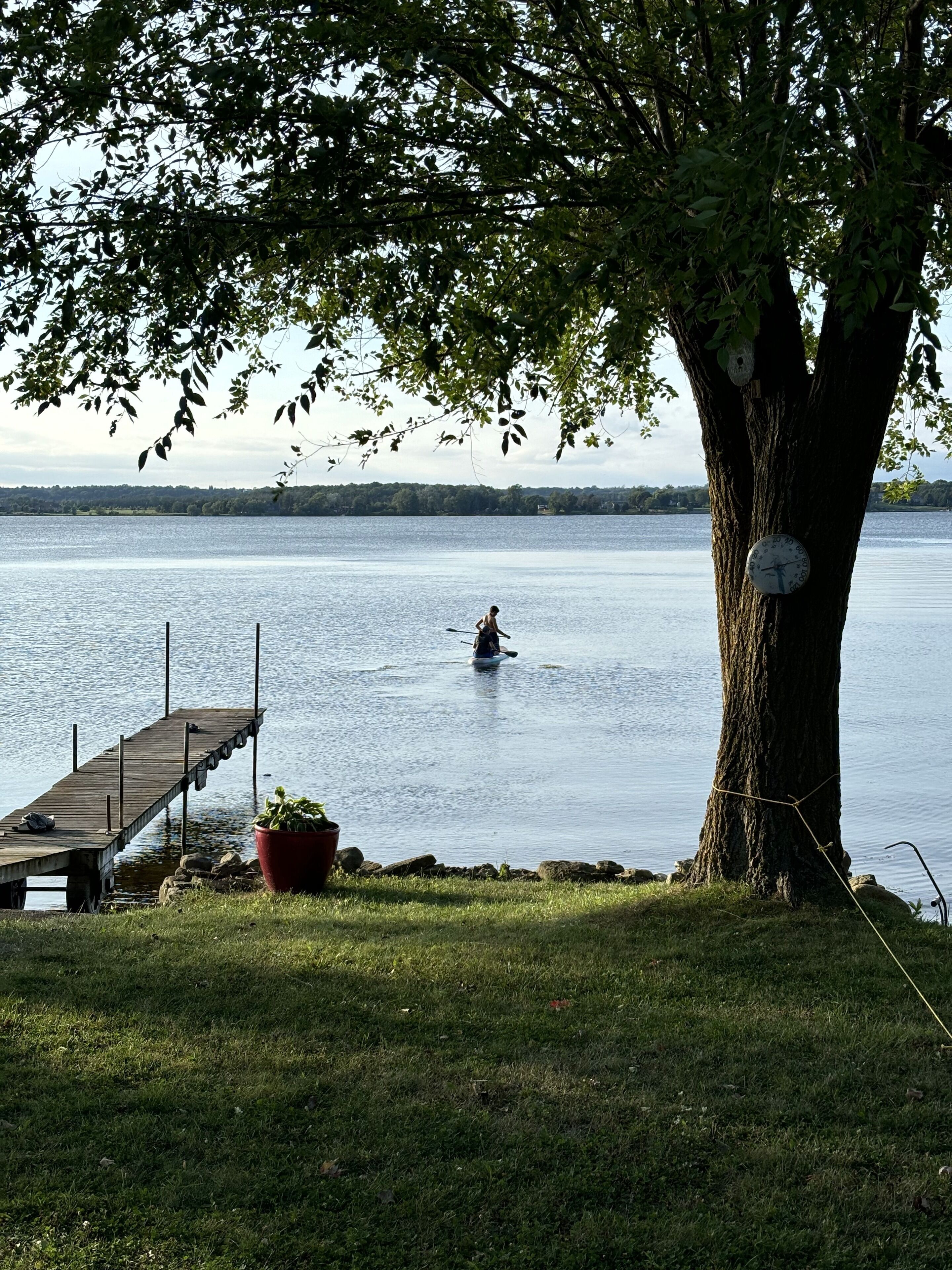 A calm lake with a dock extending into the water, a person kayaking, and a large tree with a clock on its trunk.