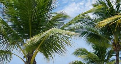 3BDRM/3BATH PLAYA DORADA BEACH/GOLF PENTHOUSE, WITH VIVA WYNDHAM RESORT ACCESS
