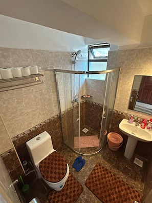 A bathroom with a glass-enclosed shower, a toilet, a sink, and a mirror.