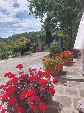 Front of property - Agriturismo La Marginella (Pescia)