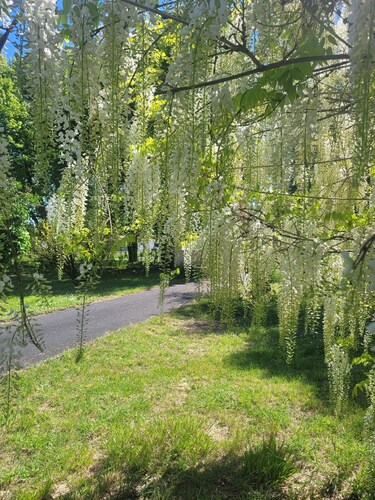 Evadez-vous à La Cordouane : Charme et détente à deux pas de l'océan !
