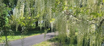 Escape to La Cordouane: Charm and relaxation just a stone's throw from the ocean!