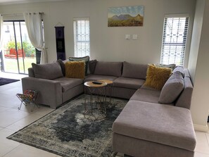 TV, fireplace, books, video library