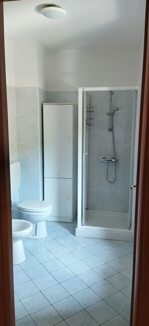 Hair dryer, bidet, towels, soap