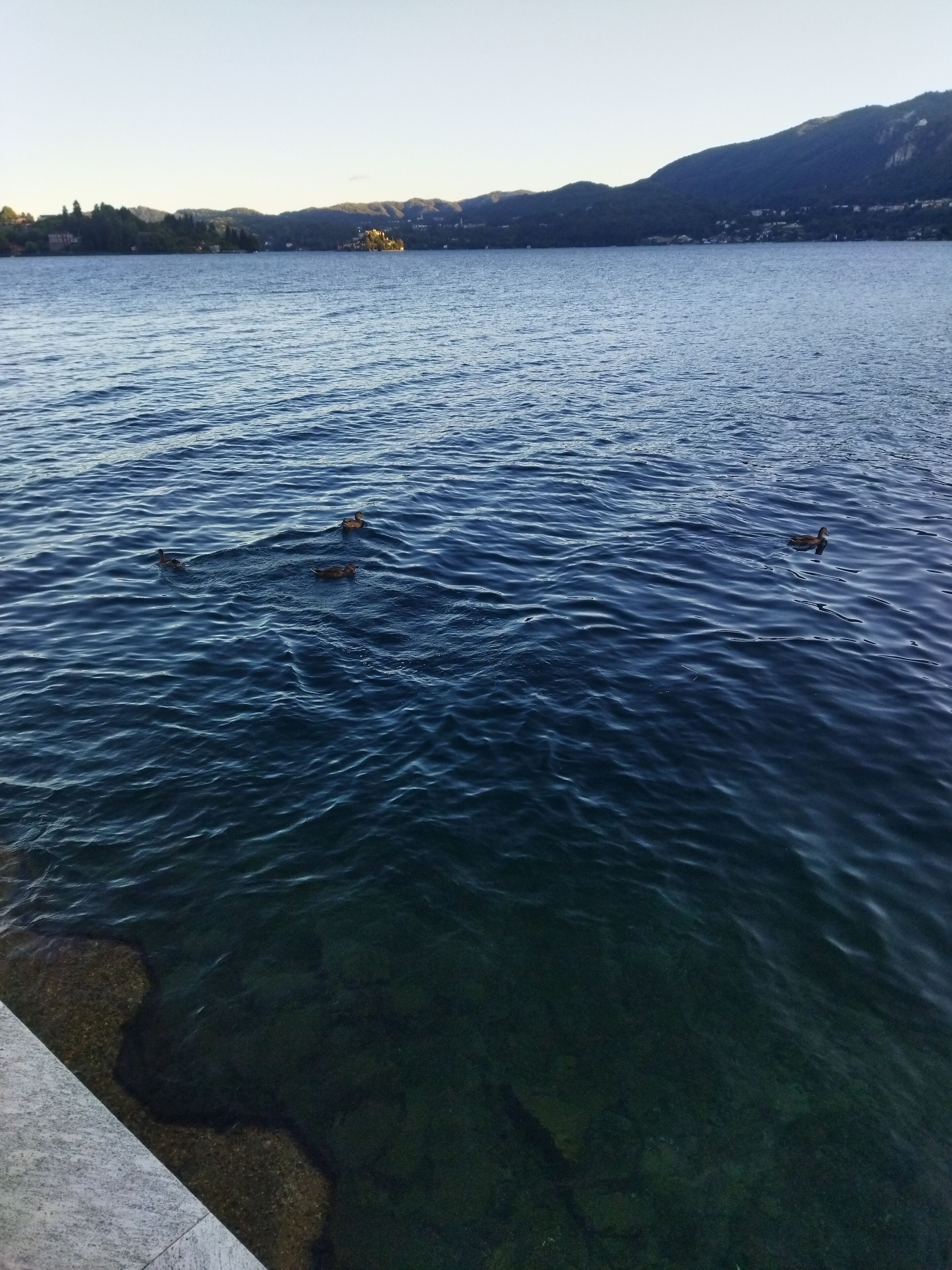 Un lago con acque limpide e alcune anatre che nuotano.