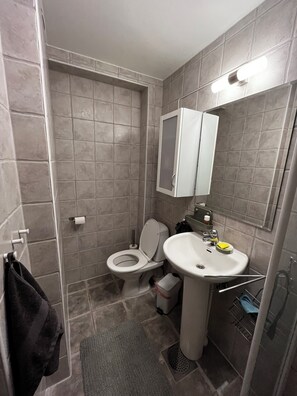 Dusche, Handtücher, Toilettenpapier