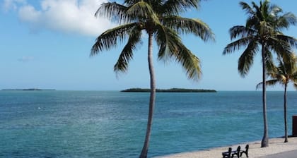 Rv empty lot campground in Cudjoe Key