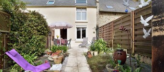 Les Agapanthes de Cancale