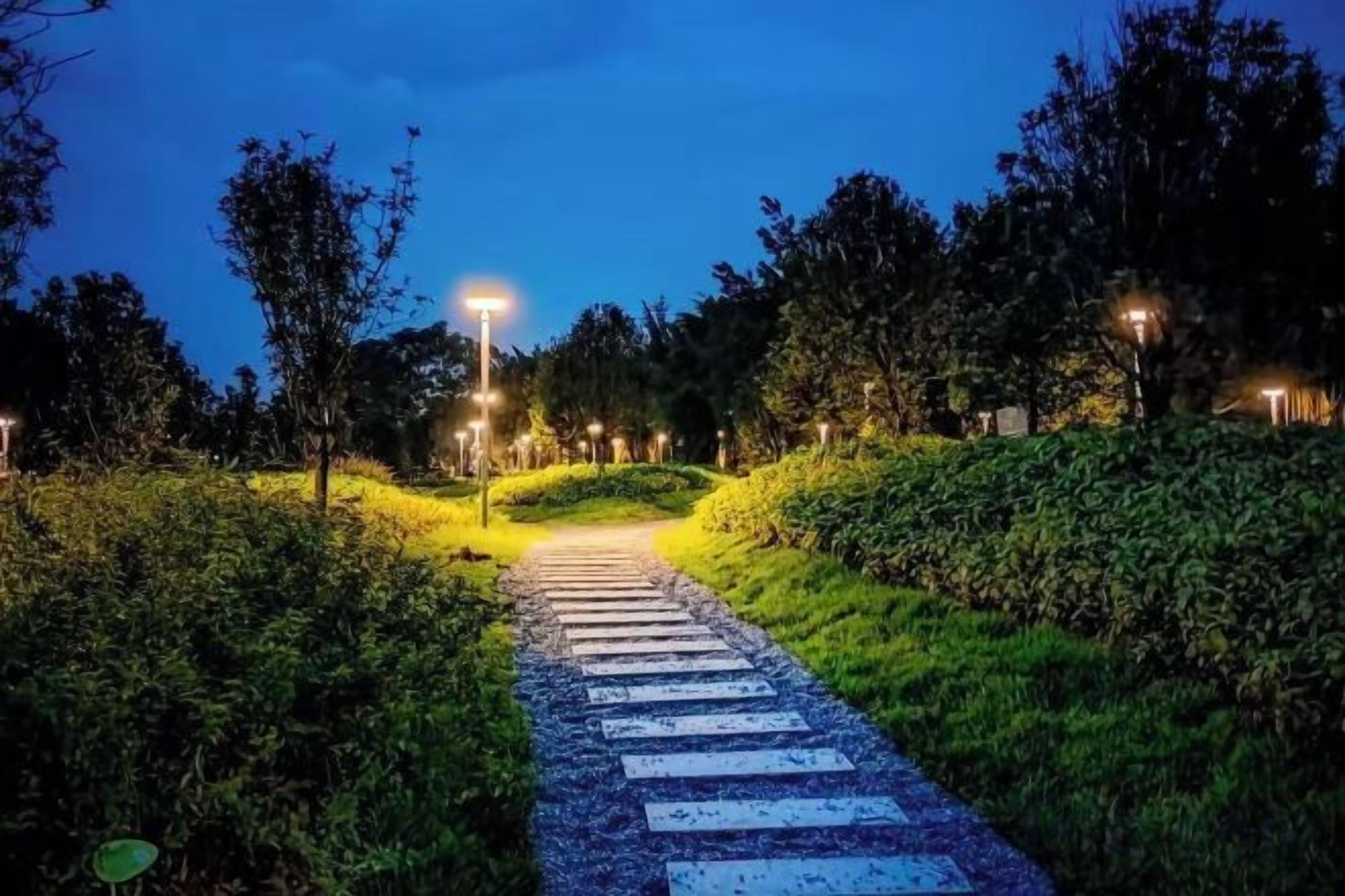 Un sentier qui traverse un espace paysager agrémenté d’arbres et d’arbustes, éclairé par des lampadaires.