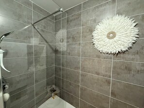 Regadera, amenidades de baño gratuitas, secadora de cabello, toallas 