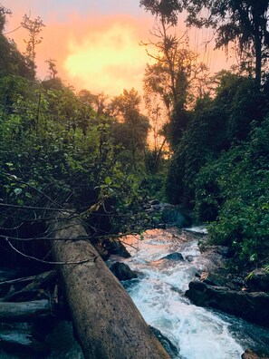 Hiking