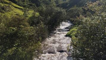 A river flowing through a lush valley with dense vegetation on both sides.