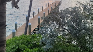 Un muelle de madera se extiende sobre aguas tranquilas, rodeado de abundante vegetación y palmeras, con un atardecer al fondo.