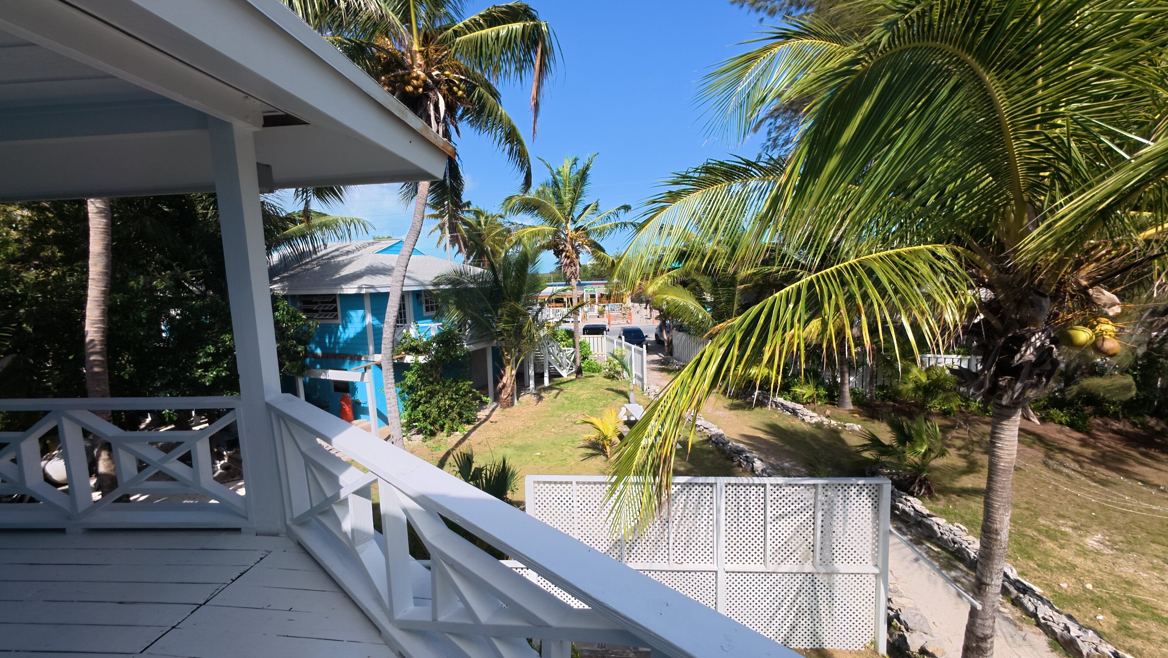 A view from a porch overlooking a property with a white fence, palm trees, and a blue house.