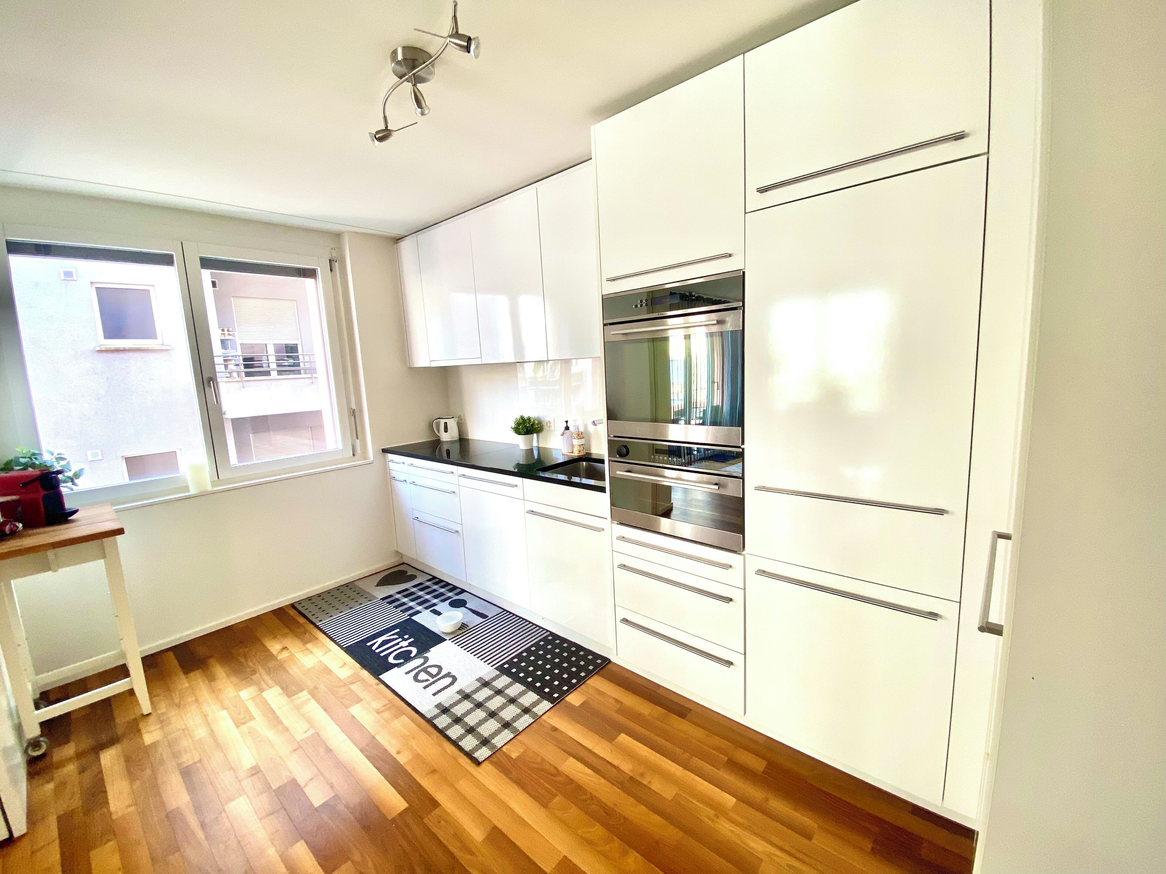 Kühlschrank, Ofen, Herdplatte, Geschirrspüler