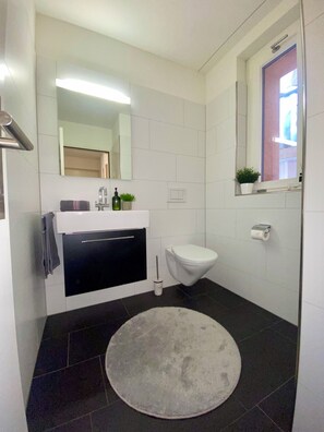 Hair dryer, towels, soap, toilet paper