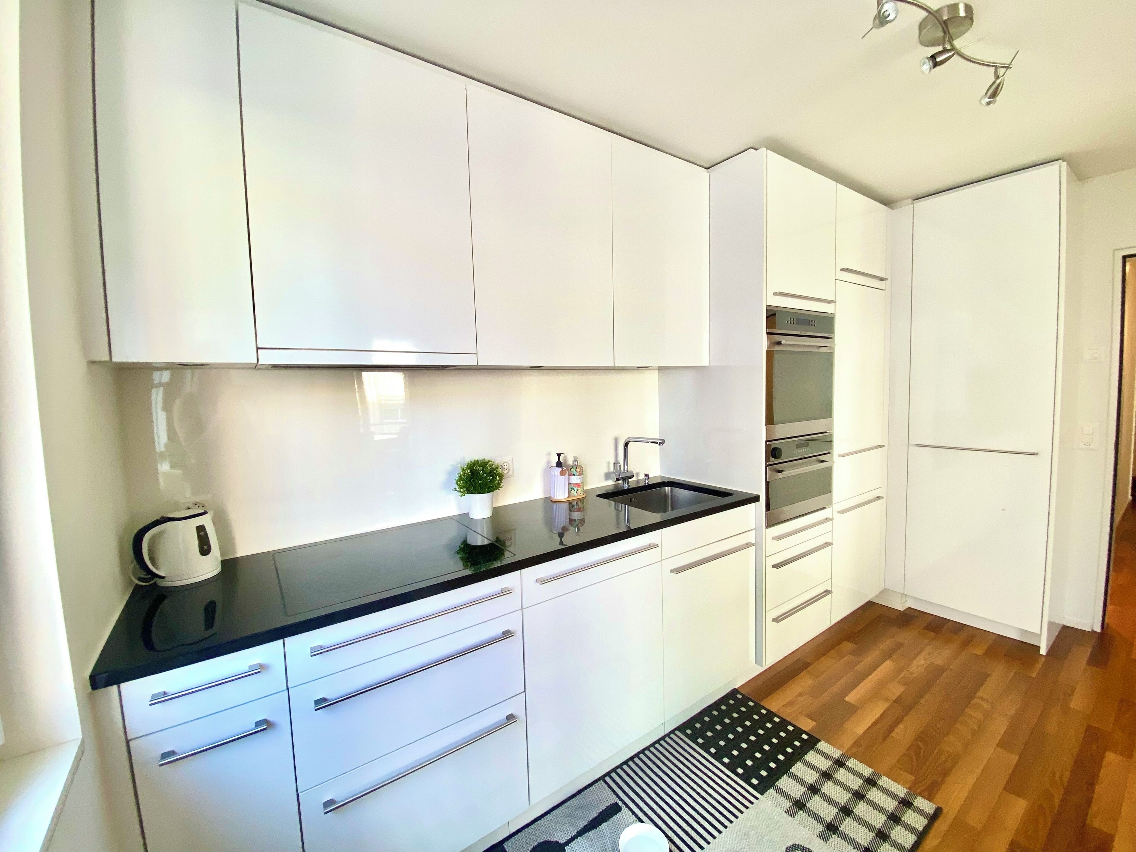 Kühlschrank, Ofen, Herdplatte, Geschirrspüler