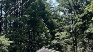 A small, single-story cabin with a porch, surrounded by dense forest. - Cozy cottage in charming Trinidad with WiFi (Trinidad)