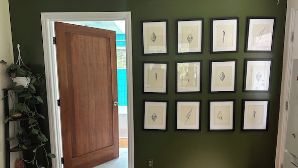 A hallway with a wooden door, a green wall with framed artwork, and a plant. - Cozy cottage in charming Trinidad with WiFi (Trinidad)