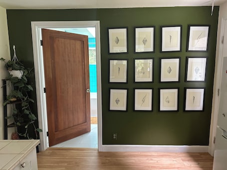 A hallway with a wooden door, a green wall with framed artwork, and a plant.