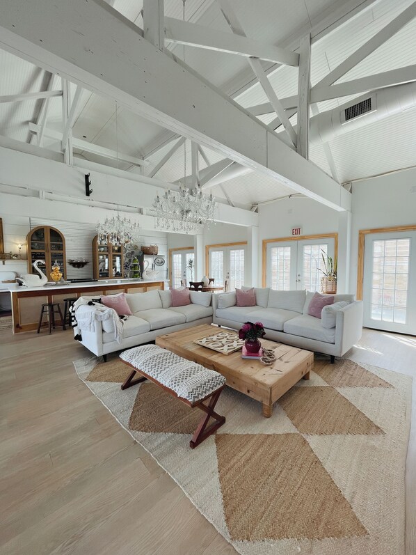 Televisión y libros 