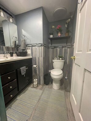 Shower, hair dryer, bidet, towels