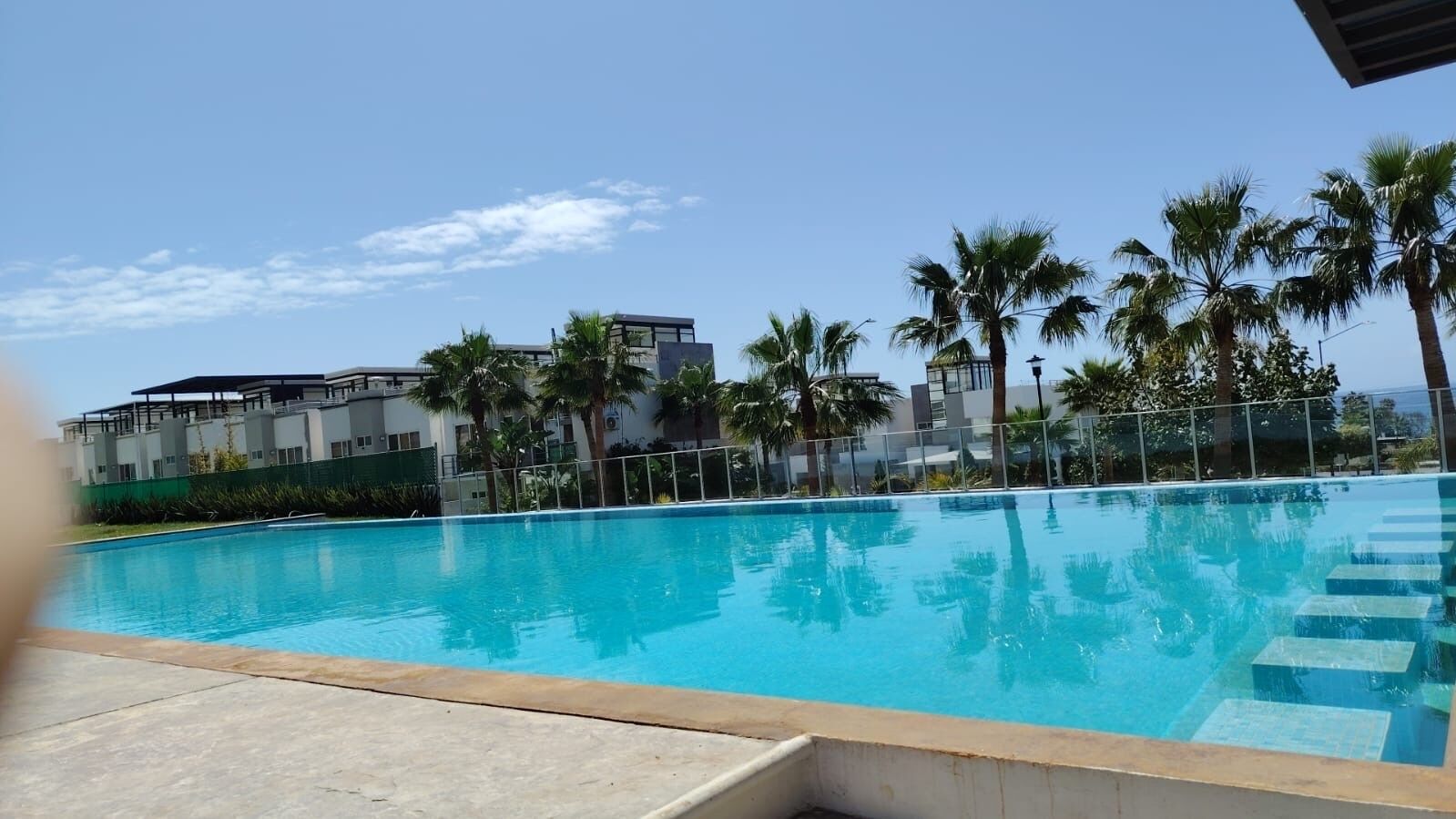 A swimming pool with clear blue water, surrounded by palm trees and modern buildings.