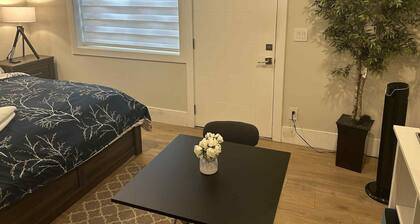 Spacious One Bedroom Suite Right in Downtown Maple Ridge!