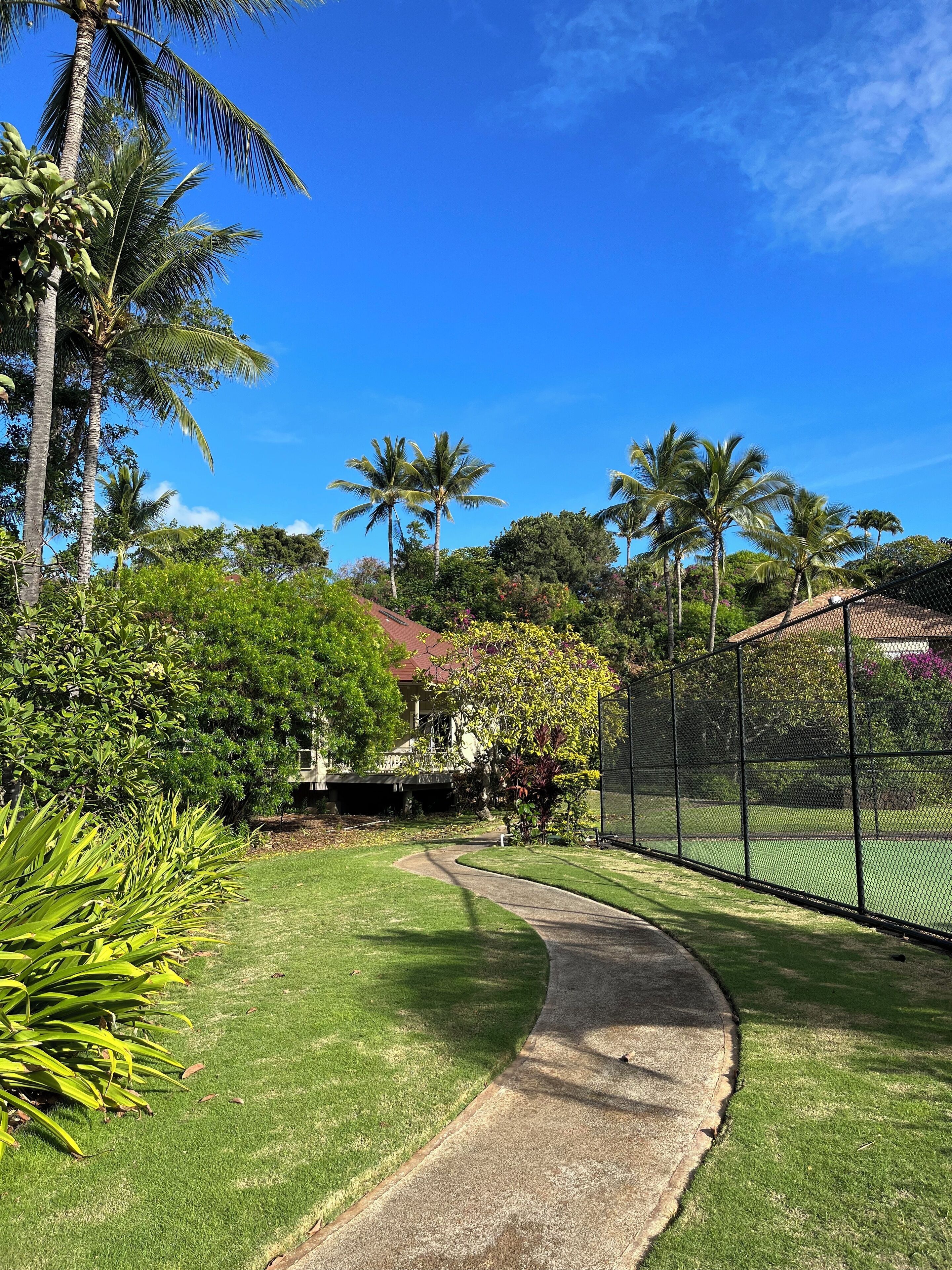 A pathway leading to a tennis court, surrounded by lush greenery and palm trees.