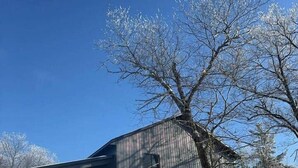 A large, single-story building with a sloped roof, likely a barn, surrounded by snow-covered ground and leafless trees. - Couples Wilderness Suite (Cook)